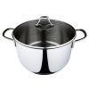 Serenk Modernist Stainless Steel Stock Pot, 24 cm